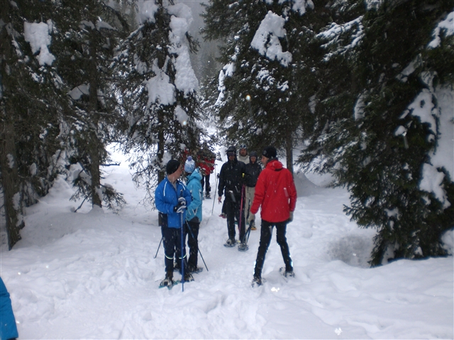 Un manipolo di ciaspolatori, in fila indiana, affrontano il bosco, con il suo manto innevato e gli alberi ricoperti da spruzzi di neve!